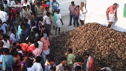 Indian villagers hold massive cow dung battle for health and prosperity