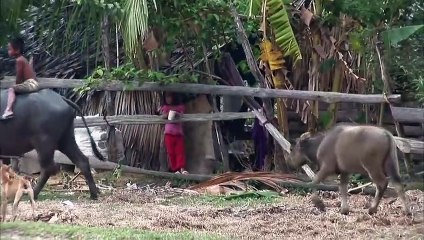 태안출장안마 #R# 후불100%ョ｛Ø7Ø↔7575↔0069카톡CK654｝태안전지역출장마사지태안출장안마태안출장마사지'출장아가씨후기ョс출장오피걸출장모텔