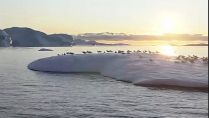 La temperatura del aire confirma el cambio climático en el Ártico