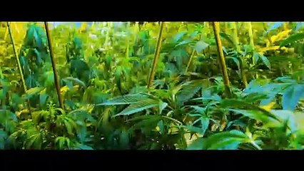 High on the Hog starring Sid Haig - X-Rated Trailer