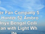 Hunter Fan Company 53355 Hunter 52 Ambrose Onyx Bengal Ceiling Fan with Light White