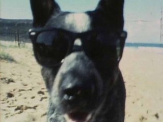 Cold Chisel - Hold Me Tight