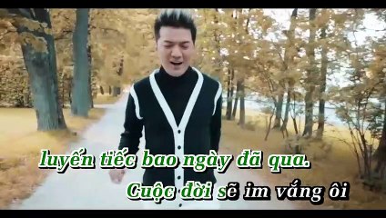 Bai Ca Tinh Nho - Dam Vinh Hung-kok