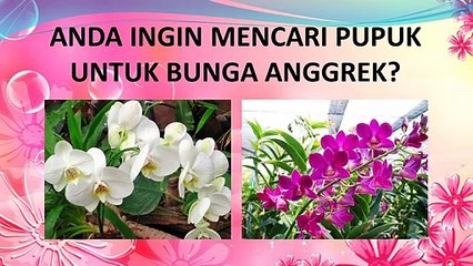 PALING DICARI ..! HP/WA*082-220-228-118, Agen pupuk untuk anggrek alami Kubu Raya