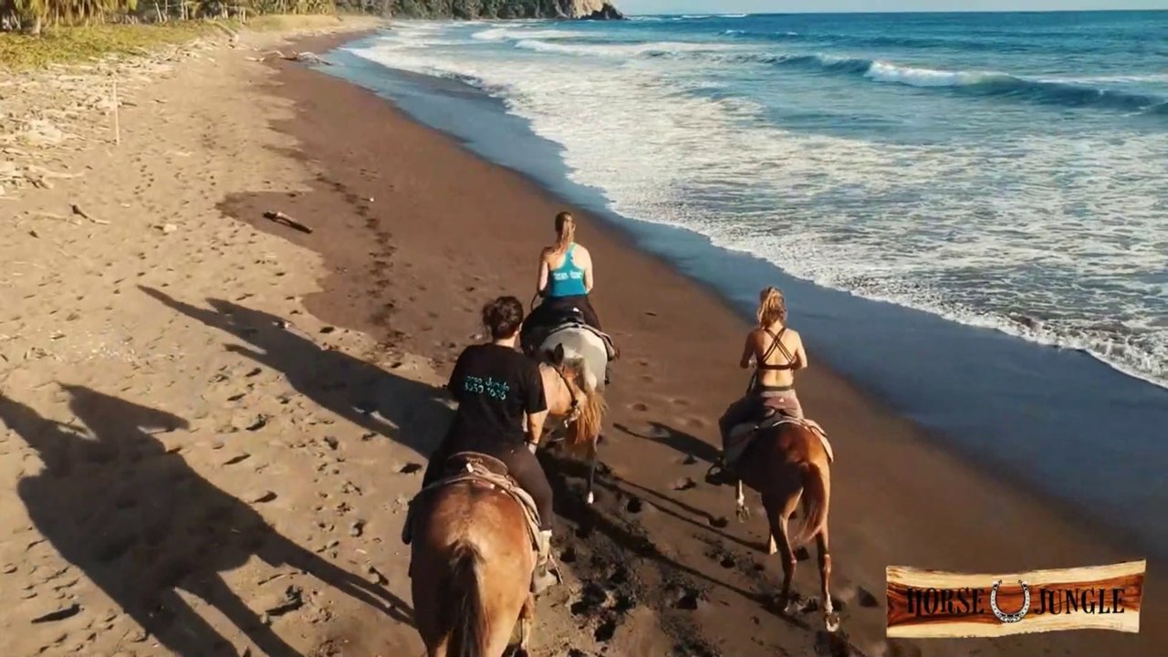 Randonnée équestre - Playa Samara / Carrillo, Costa Rica