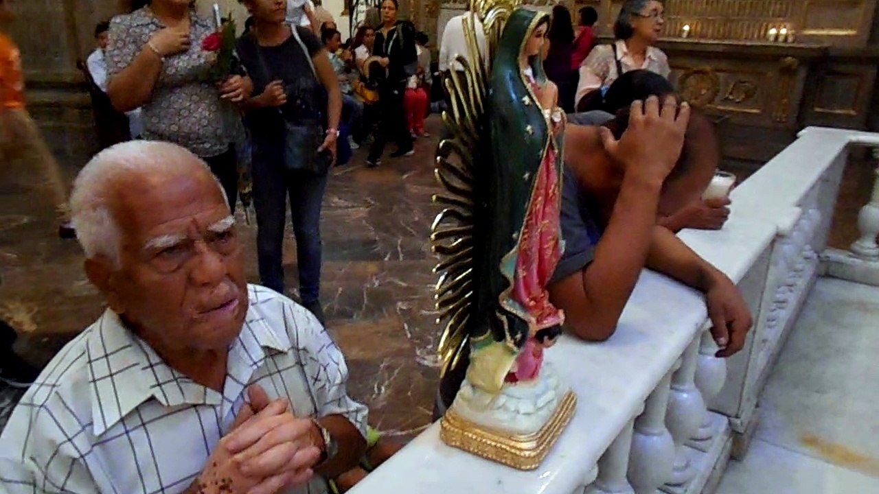 Virgencita de Zapopan, Sálvanos.
