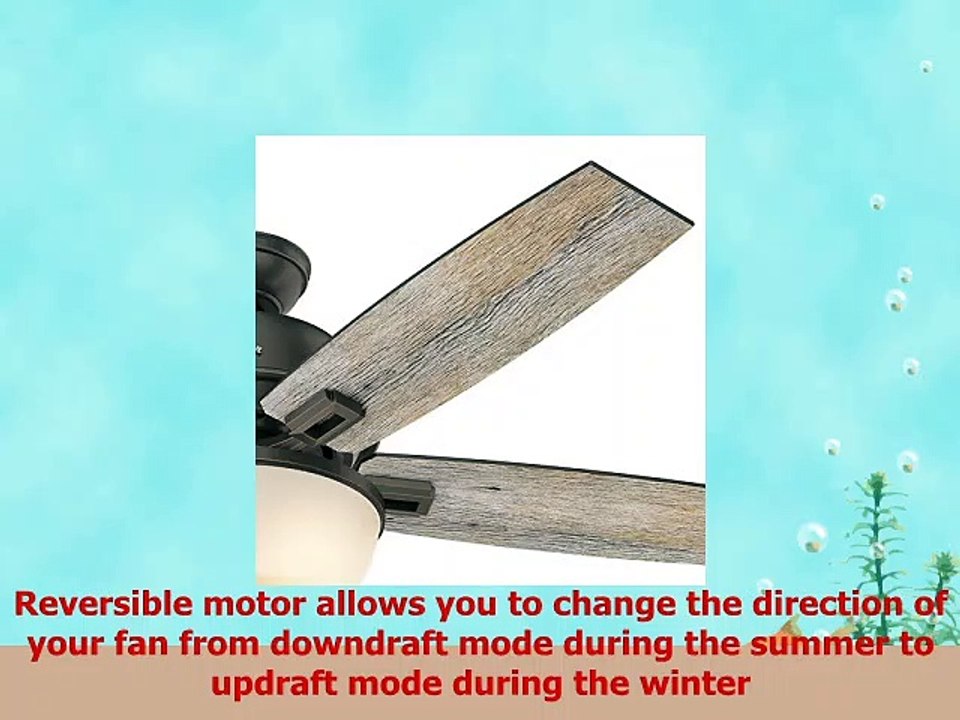 Hunter Fan 52 in Low Profile Ceiling Fan with Light and LED bulbs in Onyx Bengal