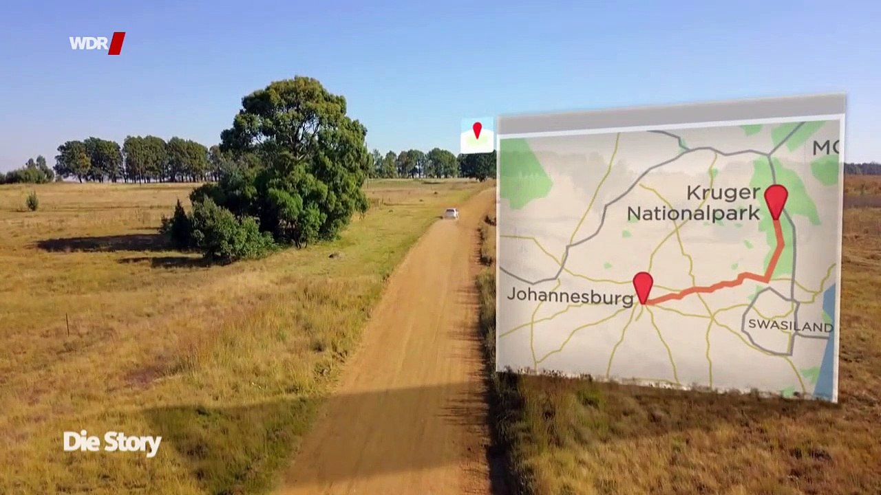 Löwen schießen für 20.000 Euro - Jagdtouristen in Südafrika | Dokumentarfilm