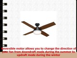 Hunter Fan Company 59251 Hunter 52 Dempsey Damp Matte Black Ceiling Fan with Light and