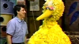 Classic Sesame Street - Big Bird Learns About Love