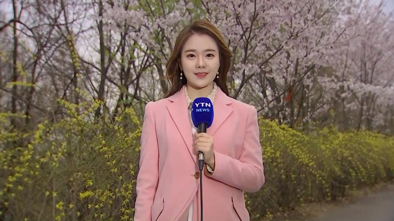 [날씨] 벼락·돌풍 동반 요란한 비...강원 산간 대설 / YTN