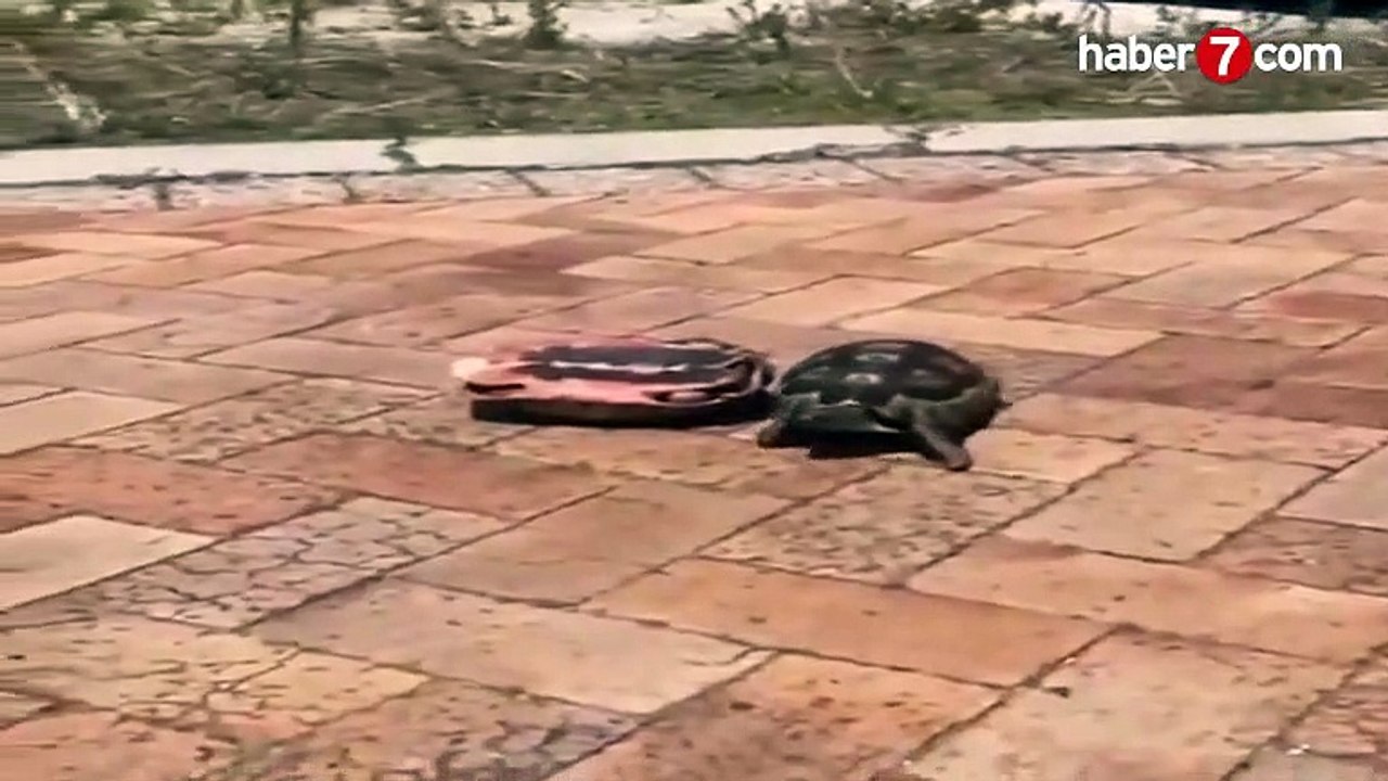 Ters dönen arkadaşını böyle kurtardı! - Video 7