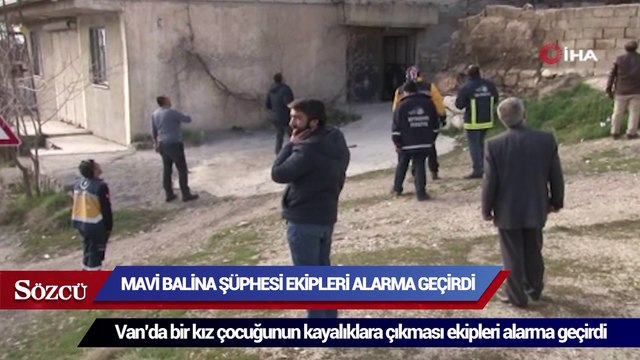Mavi balina şüphesi ekipleri alarma geçirdi