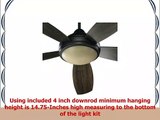 Quorum International 36525986 Colton 52Inch Ceiling Fan Oiled Bronze Finish with Amber