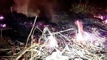 Incêndio em vegetação traz transtornos no Coqueiral
