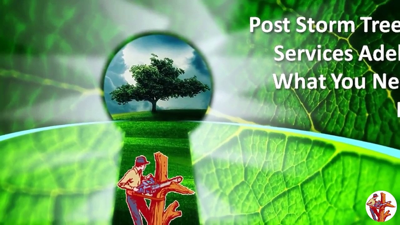 Post Storm Tree Care Services Adelaide What You Need To Know