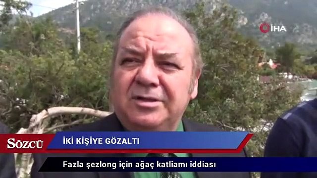 Fazla şezlong için ağaç katliamı iddiası