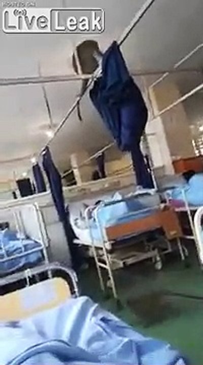 Des singes volent les malades d'un hôpital en Inde !