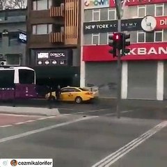 Kırmızı Işıkta Köpek neyaptı İnsanlar Neyaptı izleyin