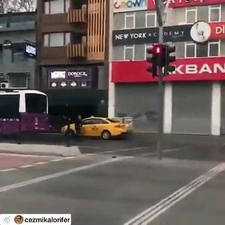 Kırmızı Işıkta Köpek neyaptı İnsanlar Neyaptı izleyin