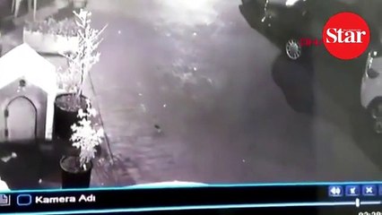 Köpeği uyandırıp, kulübesini çaldılar