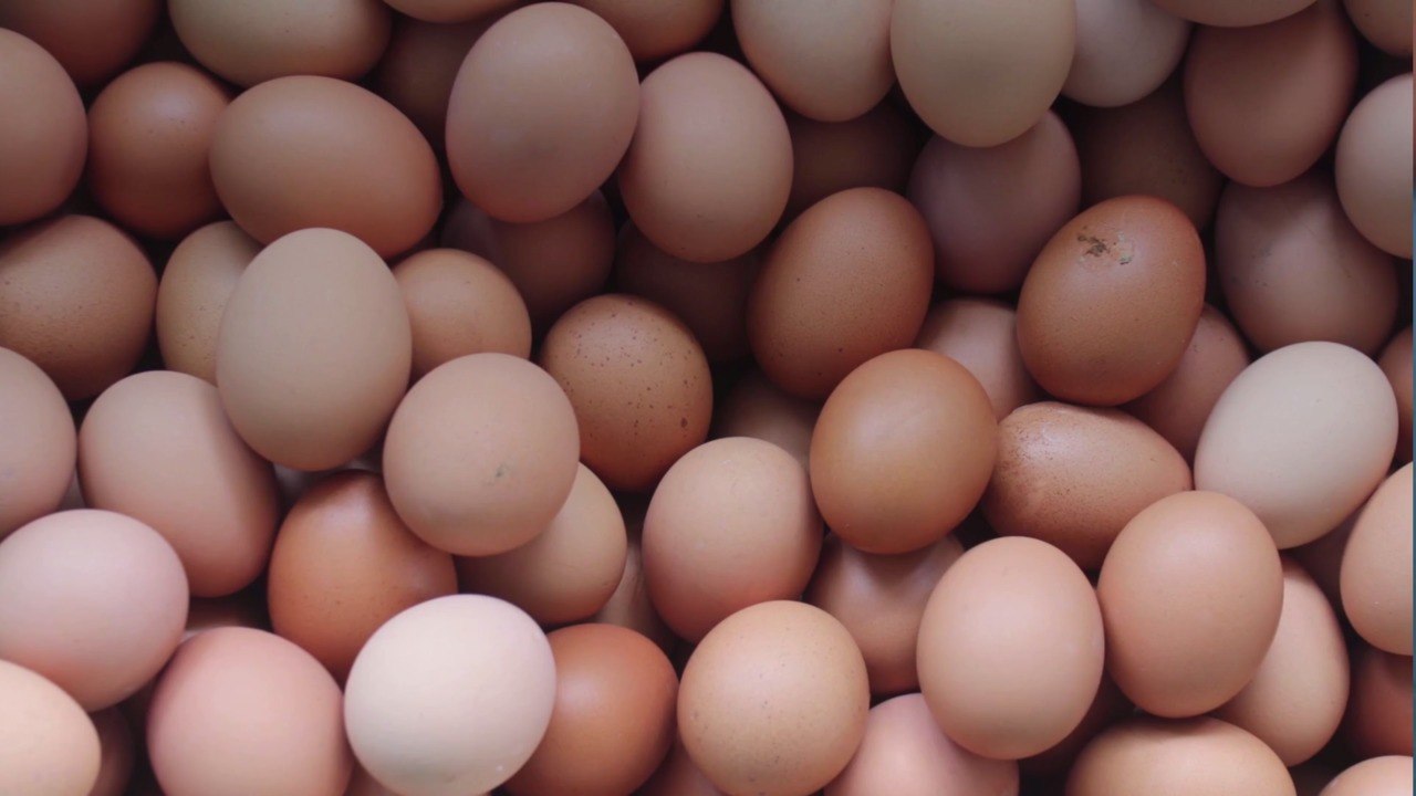 Smart Egg Substitute Ideas Every Baker Needs