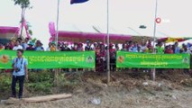 - Kamboçya’daki öküz yarışı renkli görüntüler oluşturdu- Kamboçya’da geleneksel öküz yarışı