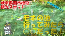Monet's Pond　モネの池（名もなき池）岐阜県関市板取の観光スポット！