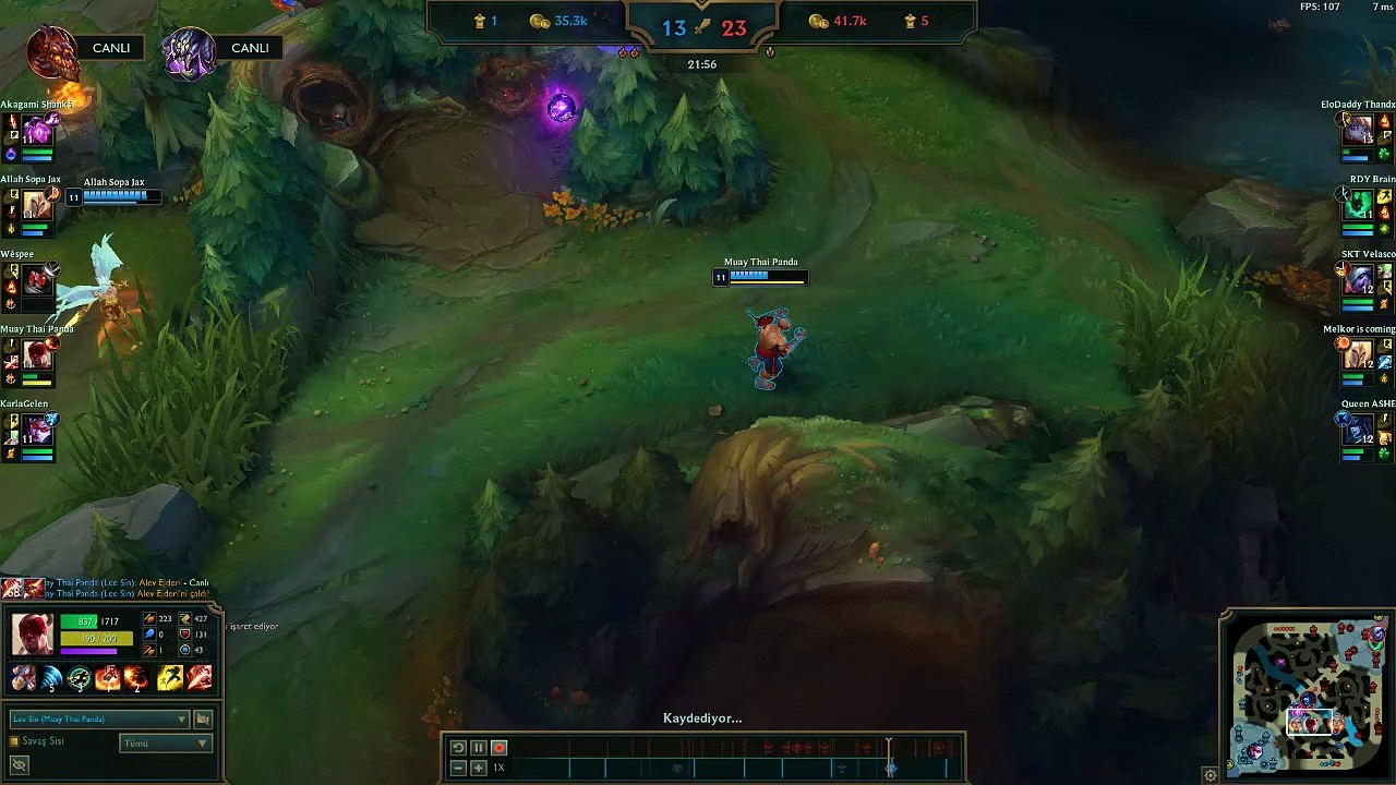 Lee 1