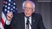 Sanders Hits Back At Trump Over Alleging Windmill Noise Causes Cancer