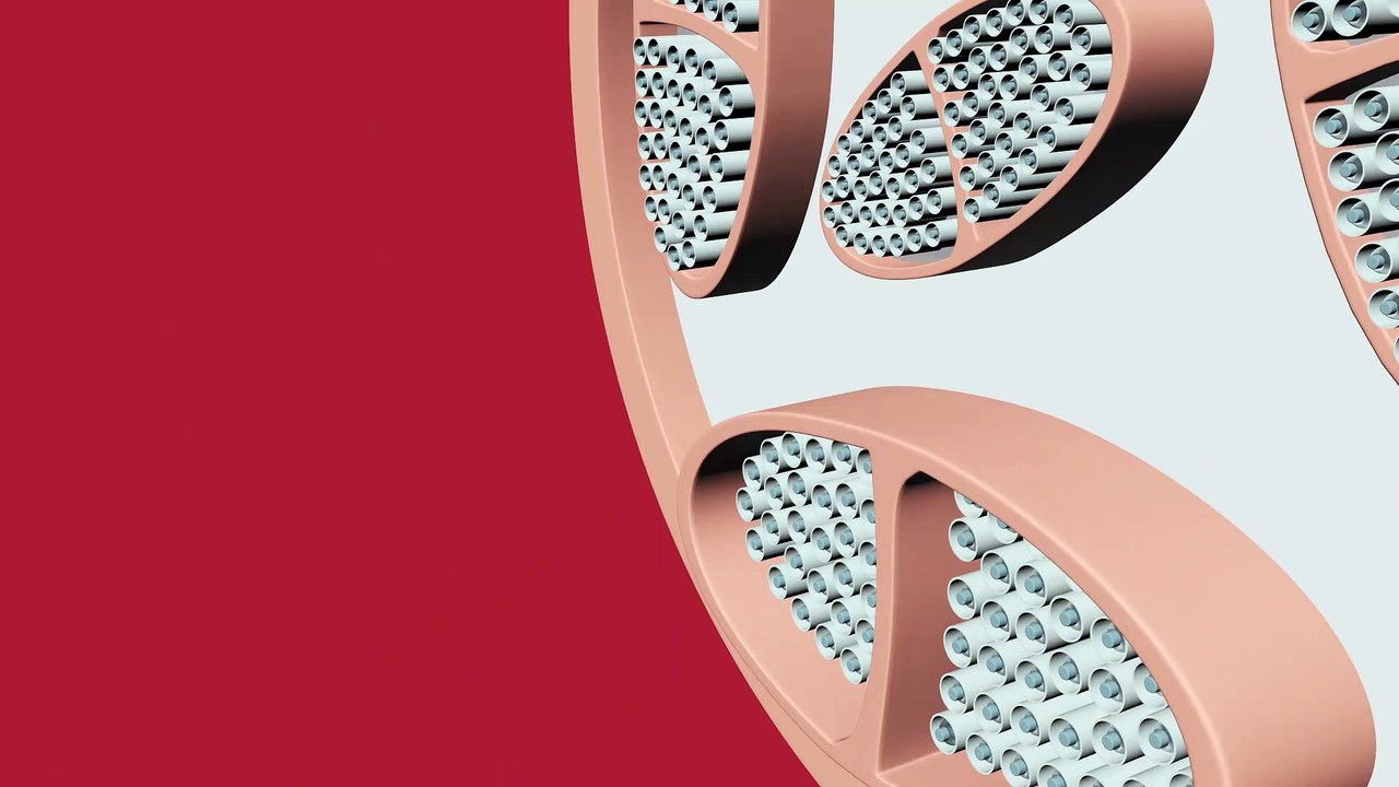 Cryo Center - 3D Animation (Nerve Regeneration)