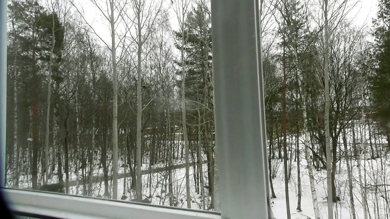 March 15 2019 DL2
