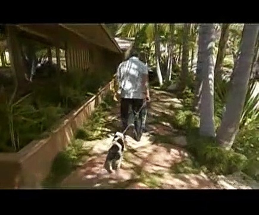 Dog Whisperer S05E21 Miles and Maxie & Brooker (Heavy Metal Miles)