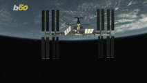 NASA Has Found Some Unwanted Visitors on the International Space Station