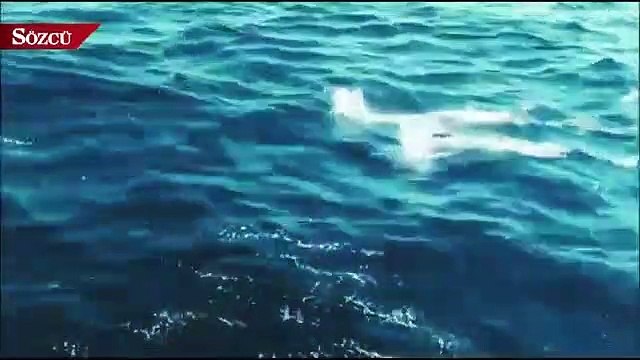 TSK'dan Yunanistan'ın iddiasına videolu yanıt