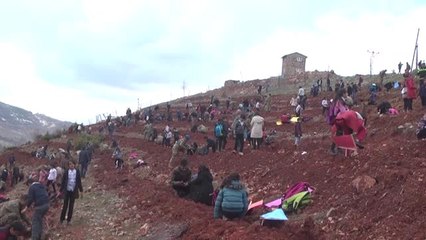 Çukurca'da Güvenlik Güçleriyle Vatandaşlar Fidan Dikti