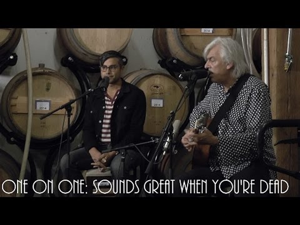 ONE ON ONE: Robyn Hitchcock - Sounds Great When You're Dead November 10th, 2014 City Winery New York