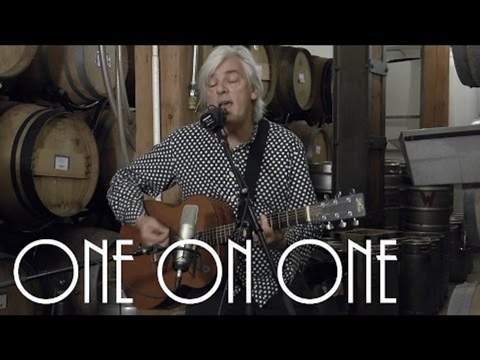 ONE ON ONE: Robyn Hitchcock November 10th, 2014 City Winery New York Full Session