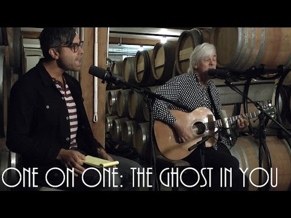 ONE ON ONE: Robyn Hitchcock - The Ghost In You November 10th, 2014 City Winery New York