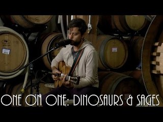 ONE ON ONE: David Berkeley - Dinosaurs & Sages June 27th, 2015 City Winery New York