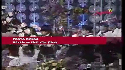 Prava kotka - Odakle se čisti riba (live)