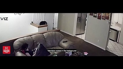 Homeowner Holds His Own Against Armed Robber
