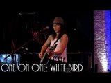 ONE ON ONE: KT Tunstall - White Bird August 19th, 2015 City Winery New York