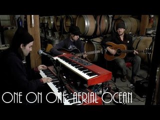 ONE ON ONE: The Pines - Aerial Ocean February 4th, 2016 City Winery New York