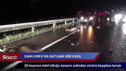 Katliam gibi kaza