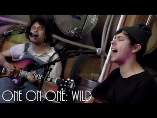 ONE ON ONE: The Parrots - Wild March 12th, 2017 City Winery New York