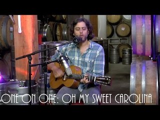 ONE ON ONE: David Berkeley - Oh My Sweet Carolina April 21st, 2017 City Winery New York
