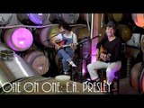 ONE ON ONE: The Parrots - E.A. Presley March 12th, 2017 City Winery New York