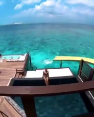Une villa de rêve avec toboggan aux Maldives - Vidéo Dailymotion