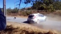 Ce pilote de rally évite de justesse un chien au milieu de la route